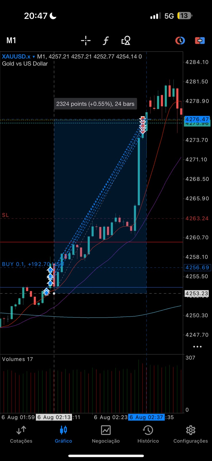 Registro de operação positiva em XAU/USD